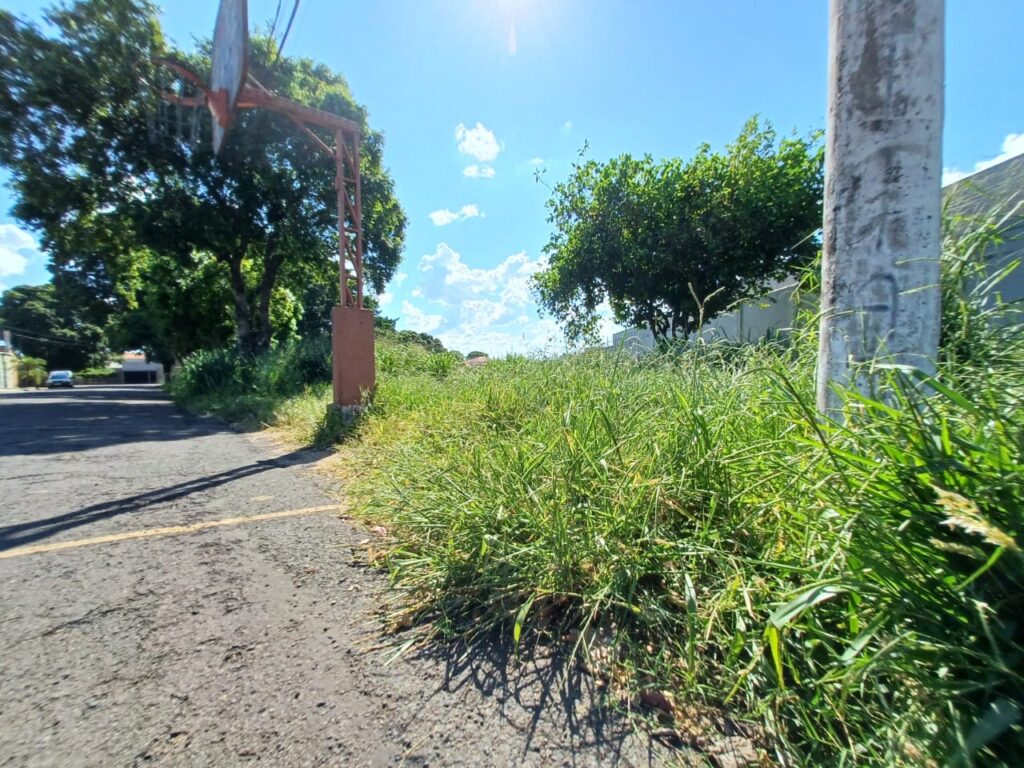 Moradores Do Jardim Popi Reivindica Ro Agem E Limpeza Da Rea Verde Do