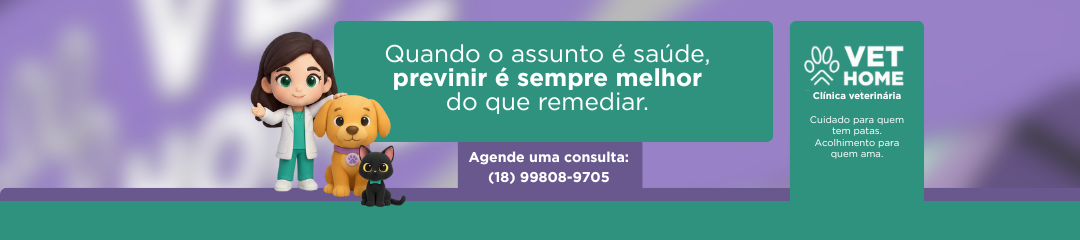 Comprar no Tiaguin Veículos é sinônimo de confiança e segurança! (4)